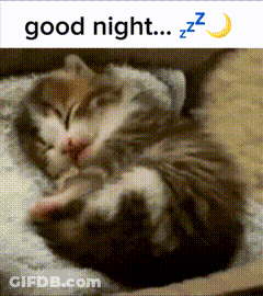 A Picture Of A Cat Sleeping With The Words Good Night Zzz GIF