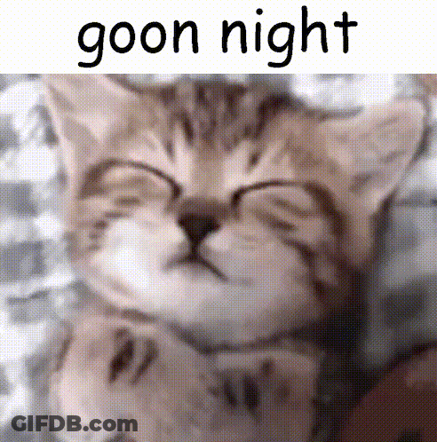 A Picture Of A Cat Sleeping With The Words Goon Night Above It GIF