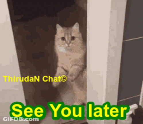 A Picture Of A Cat Standing In A Doorway With The Words See You Later Below It GIF