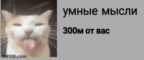 A Picture Of A Cat Sticking Its Tongue Out With The Words 1300M On The Bottom Right GIF