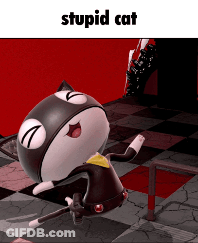 A Picture Of A Cat That Says Stupid Cat On The Bottom GIF