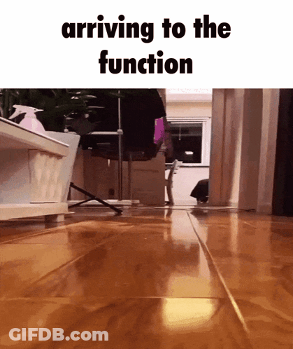 Cat Walking On Wooden Floor Arriving To Function GIF