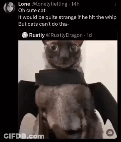 A Picture Of A Cat Wearing A Bat Costume On A Twitter Post GIF