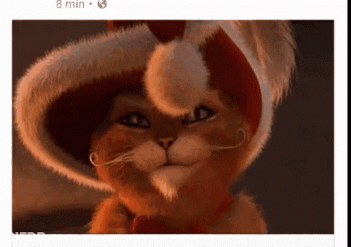 A Picture Of A Cat Wearing A Hat And A Collar GIF