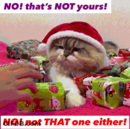 A Picture Of A Cat Wearing A Santa Hat With The Words No That 'S Not Yours Below It GIF