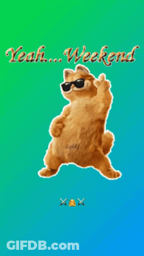 A Picture Of A Cat Wearing Sunglasses That Says Weekend GIF