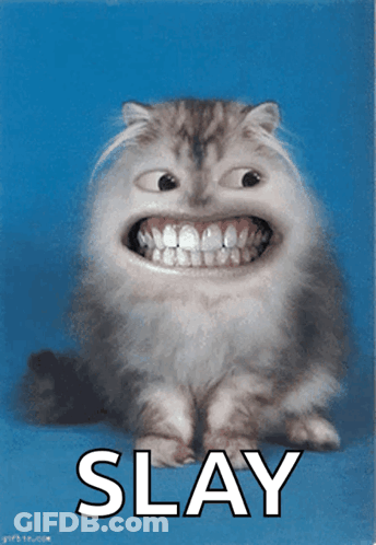 A Picture Of A Cat With A Big Smile And The Word Slay Underneath It GIF