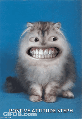 A Picture Of A Cat With A Big Smile And The Words Postive Attitude Steph Below It GIF