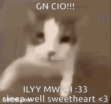 A Picture Of A Cat With A Caption That Says Gn Cio Ilyy Mwah 33 Sleep Well Sweetheart < 3 GIF