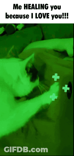 A Picture Of A Cat With A Caption That Says Me Healing You Because I Love You GIF