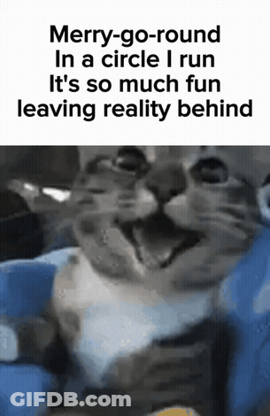 A Picture Of A Cat With A Caption That Says Merry-Go-Round In A Circle I Run GIF