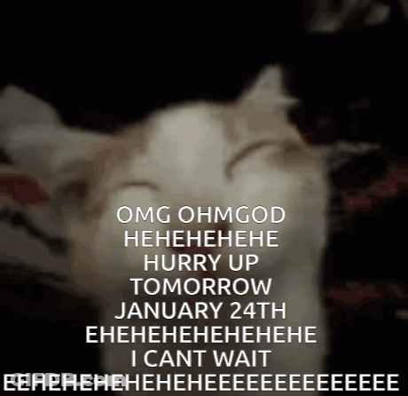 A Picture Of A Cat With A Caption That Says Omg Ohmgod Hahahaha Hurry Up Tomorrow January 24Th GIF