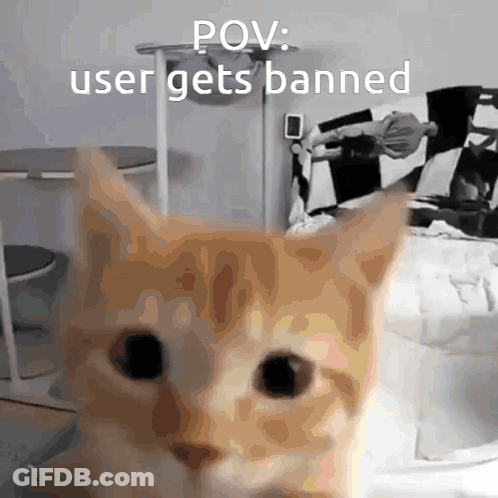 A Picture Of A Cat With A Caption That Says " Pov User Gets Banned " GIF