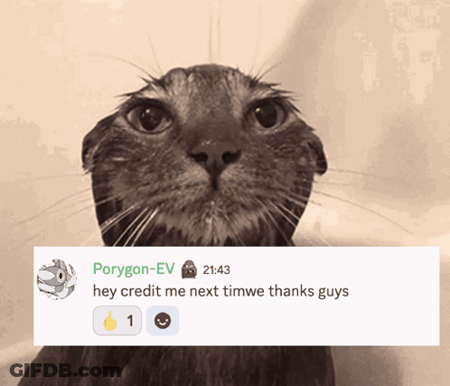 A Picture Of A Cat With A Message From Porygon-Ev Below It GIF