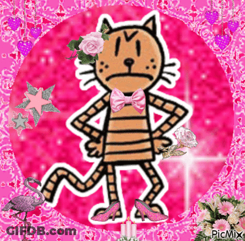 A Picture Of A Cat With A Pink Bow Tie GIF