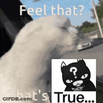 A Picture Of A Cat With A Question Mark On It GIF