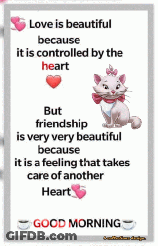 A Picture Of A Cat With A Quote On It GIF