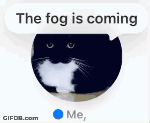 A Picture Of A Cat With A Speech Bubble That Says The Fog Is Coming GIF