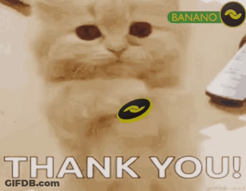 A Picture Of A Cat With A Thank You Message GIF