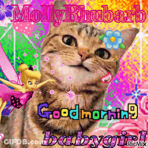 A Picture Of A Cat With A Tinkerbell Fairy And The Words Good Morning Babygirl GIF