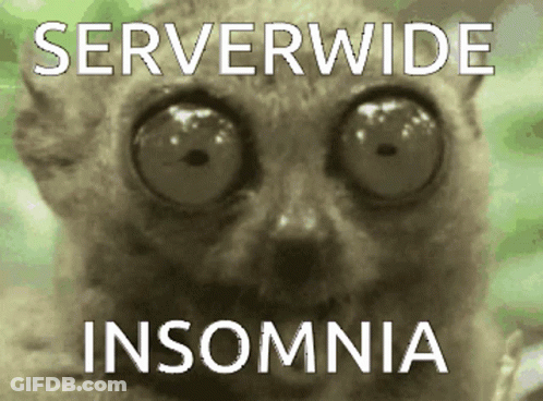 A Picture Of A Cat With Big Eyes And The Words Serverwide Insomnia GIF