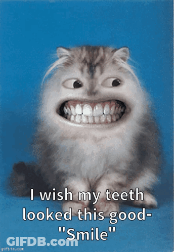 A Picture Of A Cat With Big Teeth And The Words " I Wish My Teeth Looked This Good Smile " GIF