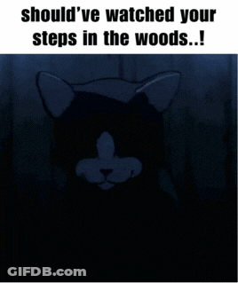 A Picture Of A Cat With Glowing Eyes And The Caption Should 'Ve Watched Your Steps In The Woods GIF