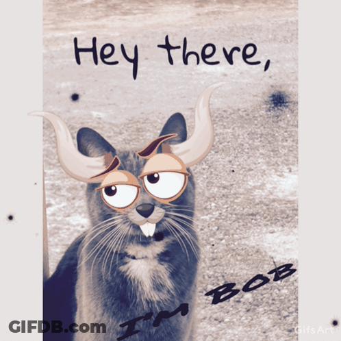 A Picture Of A Cat With Horns And The Words Hey There Bob GIF