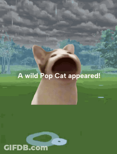 A Picture Of A Cat With Its Mouth Open And The Words " A Wild Pop Cat Appeared " GIF