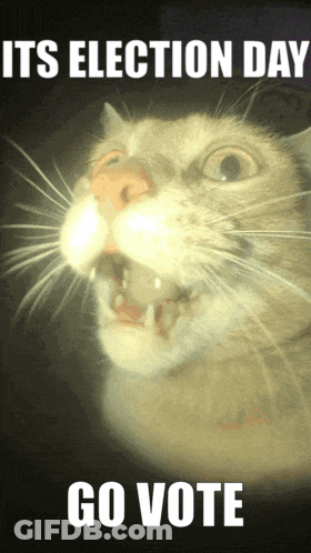 A Picture Of A Cat With Its Mouth Open And The Words Its Election Day Go Vote GIF