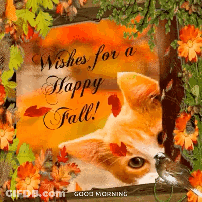 A Picture Of A Cat With Leaves And Flowers With The Words `` Wishes For A Happy Fall ! '' GIF