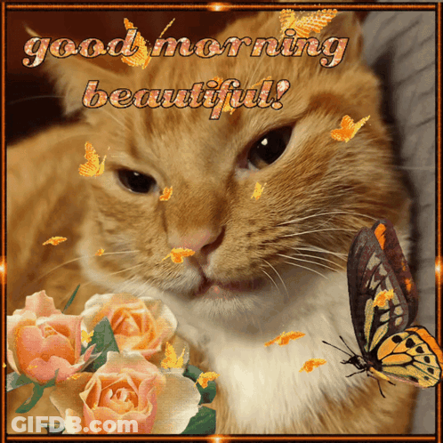 A Picture Of A Cat With Roses And Butterflies With The Words Good Morning Beautiful GIF