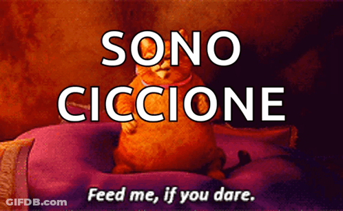 A Picture Of A Cat With Sono Ciccione Feed Me If You Dare Written On It GIF