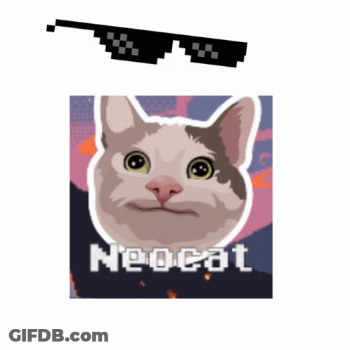 A Picture Of A Cat With Sunglasses And The Word Neocat GIF