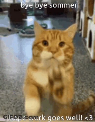 A Picture Of A Cat With The Caption Bye Bye Sommer I Hope Work Goes Well < 3 GIF