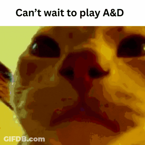 A Picture Of A Cat With The Caption Can 'T Wait To Play A&d GIF