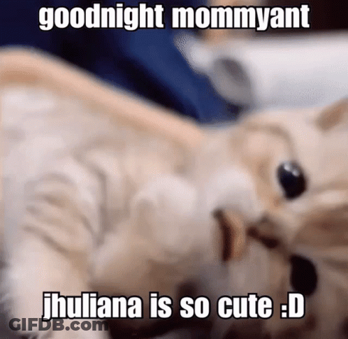 A Picture Of A Cat With The Caption " Goodnight Mommyant Jhuliana Is So Cute : D " GIF