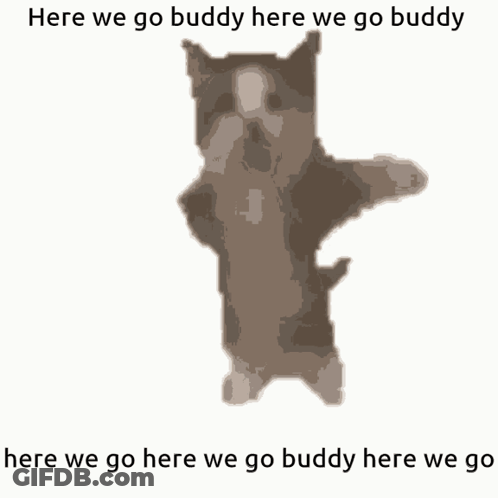 A Picture Of A Cat With The Caption Here We Go Buddy Here We Go Buddy GIF