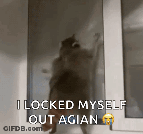 A Picture Of A Cat With The Caption " I Locked Myself Out Agian " GIF