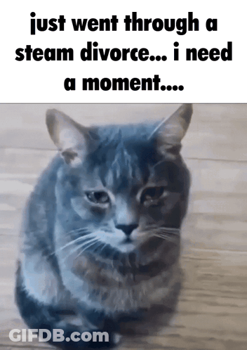 A Picture Of A Cat With The Caption Just Went Through A Steam Divorce ... I Need A Moment GIF