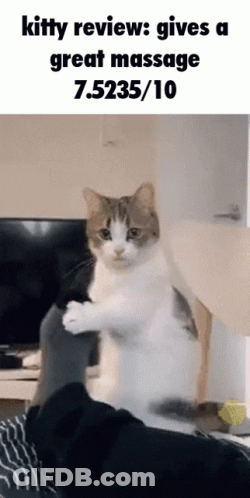 A Picture Of A Cat With The Caption Kitty Review Gives A Great Massage 7.5235 / 10 GIF