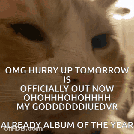 A Picture Of A Cat With The Caption Omg Hurry Up Tomorrow GIF