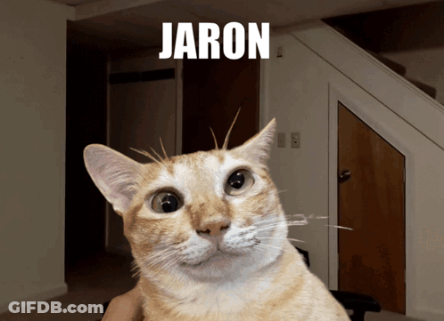 A Picture Of A Cat With The Name Jaron Written Above It GIF