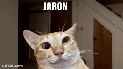 A Picture Of A Cat With The Name Jaron Written Above It GIF