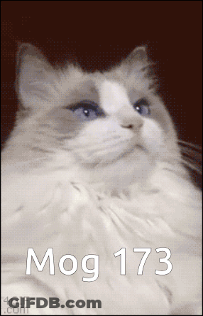 A Picture Of A Cat With The Number 173 Written On It GIF