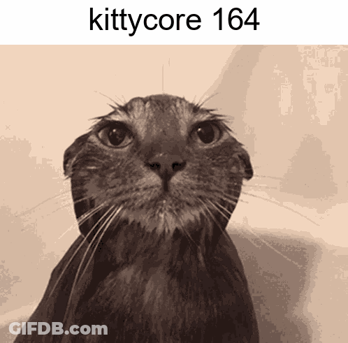 A Picture Of A Cat With The Text Kittycore 164 GIF