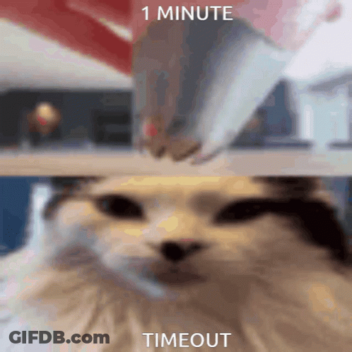 A Picture Of A Cat With The Words " 1 Minute Timeout " Written Below It GIF