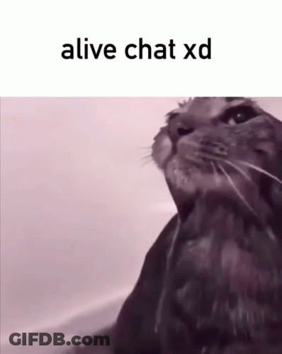 A Picture Of A Cat With The Words Alive Chat Xd On The Bottom GIF