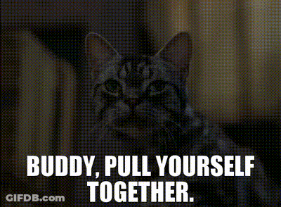 A Picture Of A Cat With The Words " Buddy Pull Yourself Together " Above It GIF