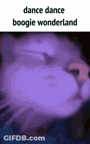 A Picture Of A Cat With The Words Dance Dance Boogie Wonderland Below It GIF